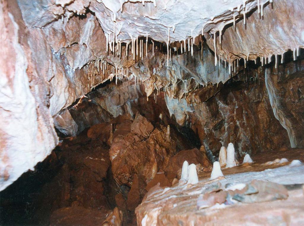 48 The Story of the Discovery of Modrovská Cave Part II Die Entdeckungsgeschichte der Modrovská Höhle Teil II.
