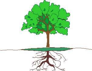 Stoffkreislauf CO 2, optional O 2 Ammoniak-Synthese CO 2 H 2 (1%) Vergasung Biomasse, 20 t/ha Wasser H 2, 2,2 t Stickstoff