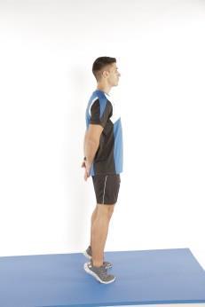 Wadenpresse dynamisch Unterkörper: Wadenmuskulatur Aufrechter Stand, Arme hinter dem Körper verschränkt, Fersen heben (zum Stand auf den Fussspitzen) und senken.