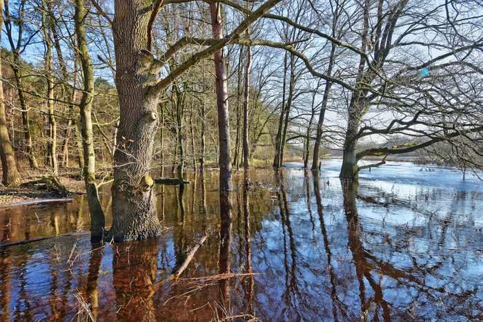 -42-2.2.3 Standorte Welche Naturschutzziele werden verfolgt?