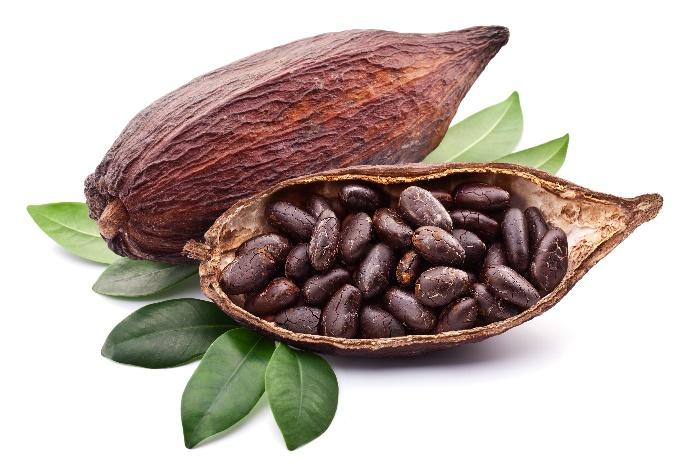KETOBRÜ Aus reinem Kakao hergestellt Enthält nur zwei Zutaten: Theobromin Kakao und Wasser Keine bekannten Kontraindikationen Bietet dauerhaft Energie mit natürlichem