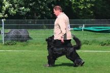 Die schwierige Aufgabe, die Ausbildung von Hunden in unserem Verein zu koordinieren, wurde von ihm mit Umsicht gelöst.