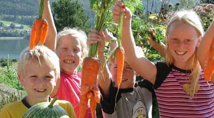 Ziele von ipopy Untersuchung, wie mehr Bio-Lebensmittel durch öffentliche Beschaffungsmaßnahmen in die Verpflegung von Kindern und Jugendlichen integriert