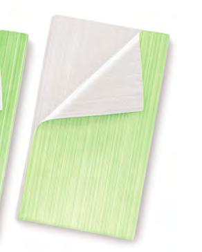 Protect In 4 Größen Fadenverstärkung Fadenverstärkung basic Einmal-Schutzlaken aus 1-lagigem Tissue