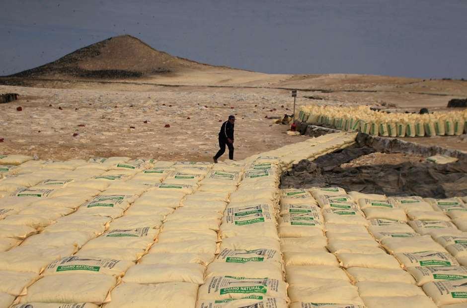 Rund 20.000 Tonnen Dünger stellt Peru jährlich aus Vogelkot her. Weil Guano reich an Mineralien, Phosphor und Nitraten ist, ist er sehr begehrt.