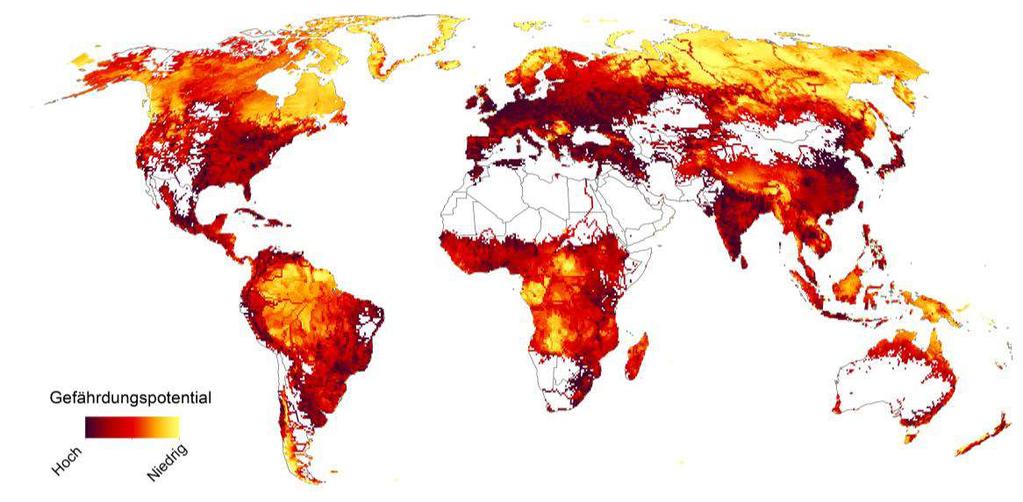 Phosphorbelastung der globalen Süßwasserressourcen Quelle: