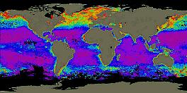 Die Farbe des Meeres Phytoplankton im Weltozean kühles, nährstoffreiches Tiefenwasser gelangt mit Hilfe von