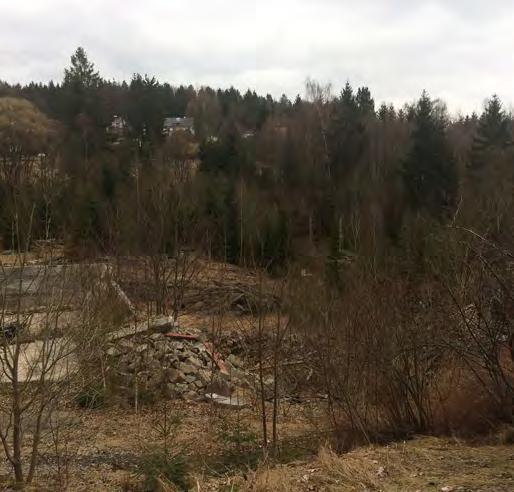 UMBAUSTADT Jahreis- Gelände Das ehemalige Steinbruchgelände der Firma Jahreis liegt seit Jahren brach und verwildert.