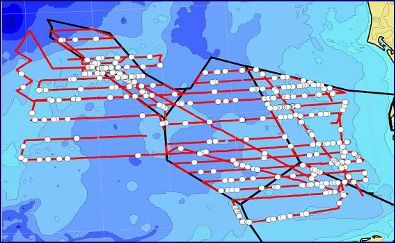 Abbildung 2.7: Akustische Detektionen des SCANS-Hydrophons. Transektlinien (rote Linien) und Schweinswaldetektionen (weiße Punkte) vom Nordsee Survey 2006.