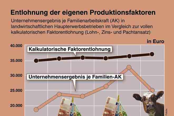 Notwendige Faktorentlohnung in den landwirtschaftlichen Haupterwerbsbetrieben Wirtschaftsjahr 2007/08 Lohnansatz für 1,41 Familien-Arbeitskräfte: => 38.601 Euro (einschl.
