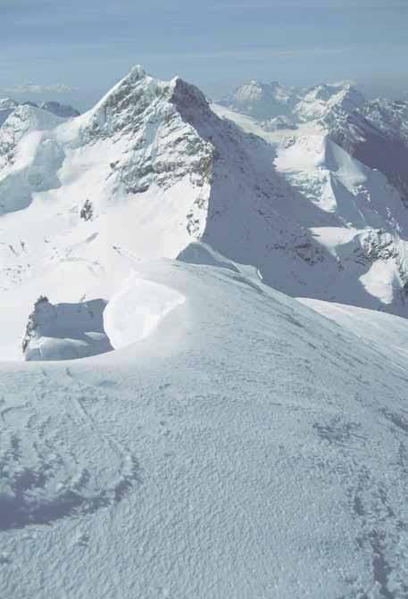 K2 BackUp Der Skitourenprofi, neu mit ROCKER, SNOPHOBIC Oberfläche und PROGRESSIVE SIDECUT.