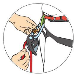 2. 3. 4. 2. Anseilknoten und Anseilpunkt Das Seil ist direkt in den Gurt eingebunden, entweder in den Sicherungsring oder in Bauchgurtöse und Beinschlaufensteg.