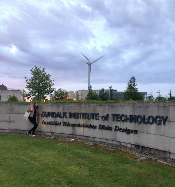 Institute of Technology in Irland