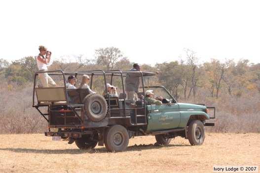 Nationalpark, Simbabwe Am Morgen des sechsten Tages werden Sie von einem Fahrer abgeholt und in den Hwange Nationalpark gefahren. Die Strecke ist ca.