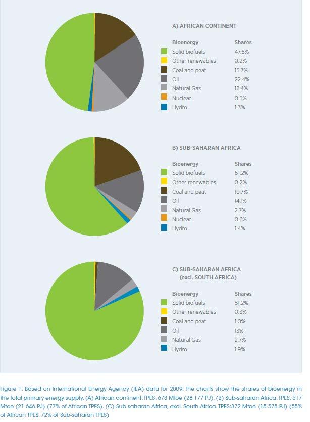 Share of Biomass in TPES 2009 https://www.irena.