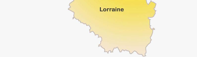 Daher ist die Zahl der grenzüberschreitenden Einpendler in die Großregion höher als die Auspendlerzahlen der einzelnen Teilregionen. Lothringen bleibt mit insgesamt 90.