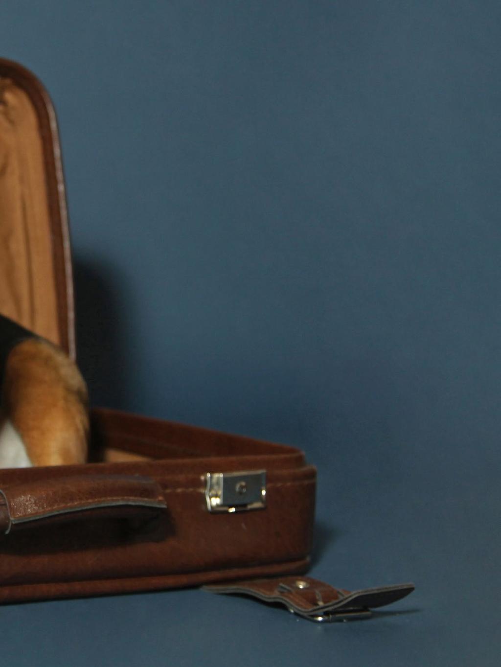 Den Hund im Gepäck REISETIPPS Soll der Hund mit in den Urlaub, muss man einige Regeln beachten.