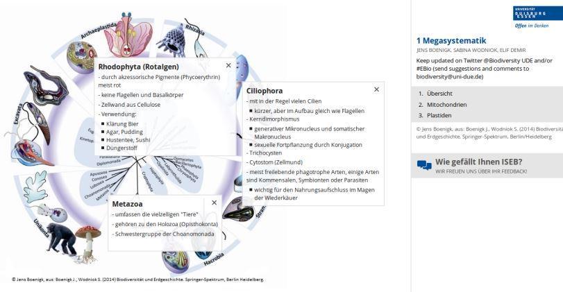 Selbstlernphasen durch E-Learning-Elemente neu gestalten ISEB (Interactive Slides E-Books) Tool zur Erstellung interaktiver Lernmaterialien Ziel: Lerneffekt durch mehr Übersichtlichkeit und mehr