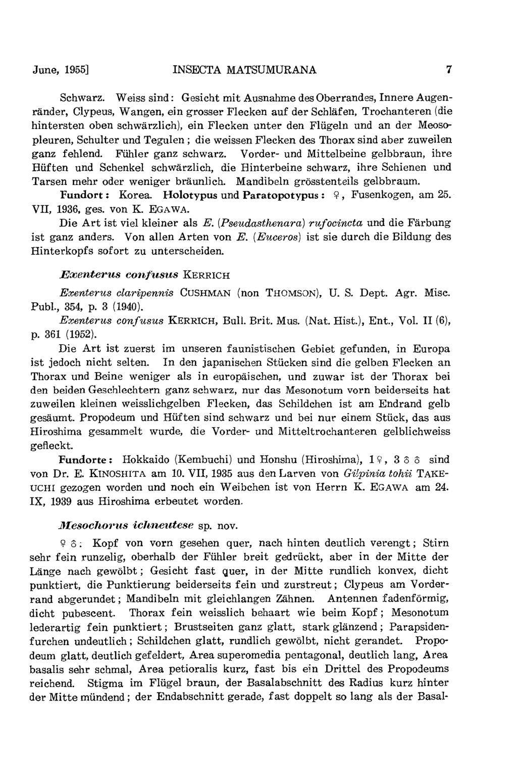 June, 1955] INSECTA MATSUMURANA 7 Schwarz.