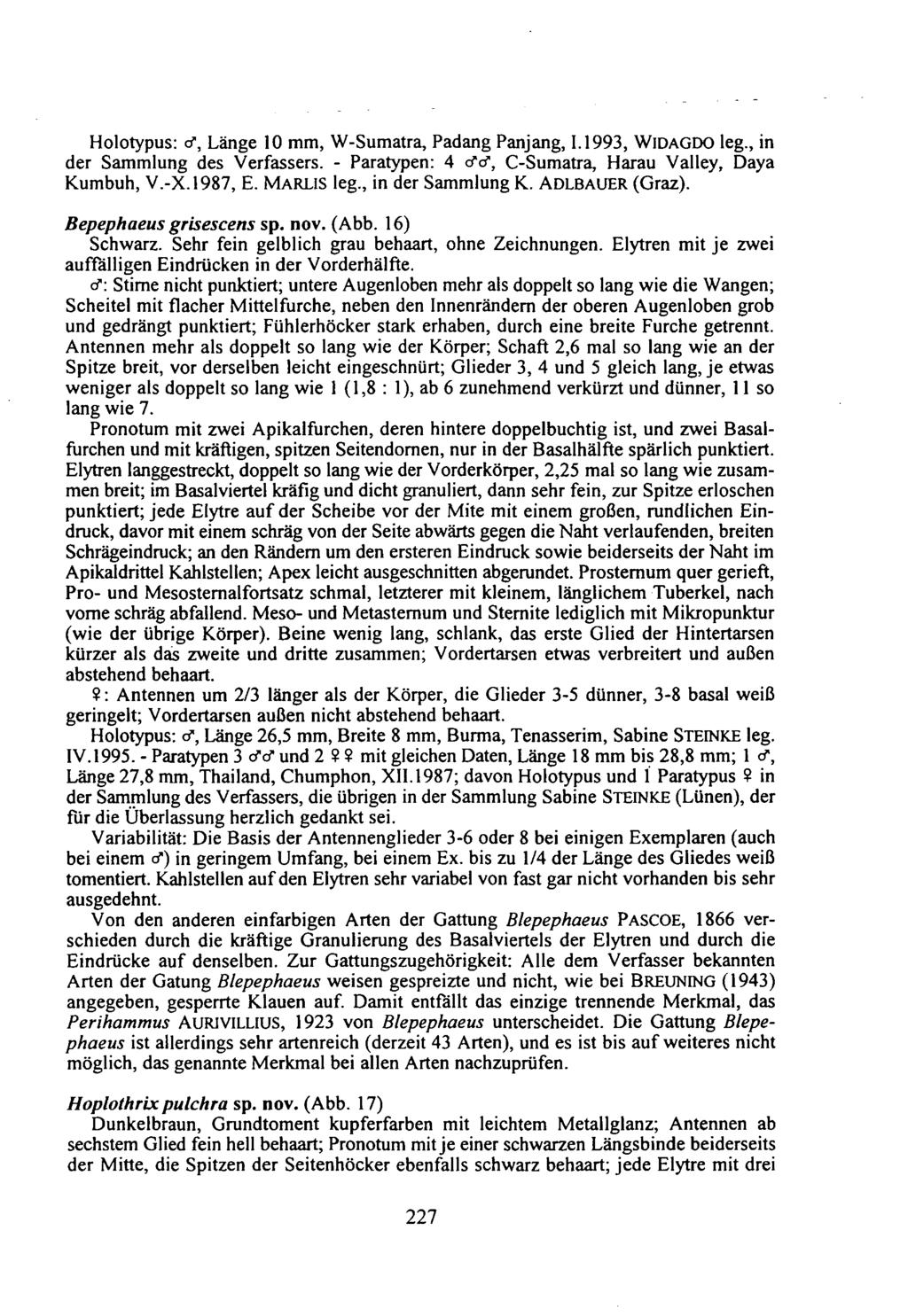 Holotypus: o", Länge 10 mm, W-Sumatra, Padang Panjang, 1.1993, WiDAGDO leg., in der Sammlung des Verfassers. - Paratypen: 4 cfd", C-Sumatra, Harau Valley, Daya Kumbuh, V.-X.1987, E. MARLIS leg.