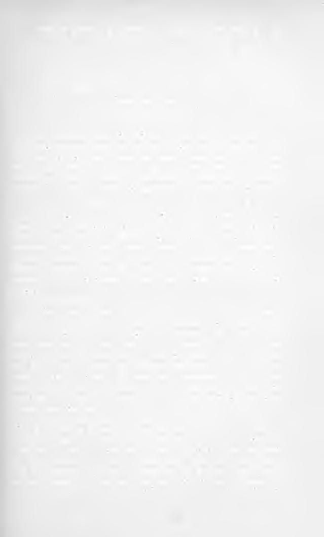 [Berliner Entomolog.. Zeitschrift Bd/XXXVI. 1891. Heft L] 167 Neue Käfer von Ost-Afrika beschrieben von G. Quedenfeldt. Das iiaturhistorische Museum in Lübeck erwarb von Herrn C.