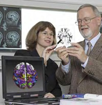 JARA-BRAIN-Wissenschaftlerinnen und -Wissenschaftler arbeiten seit zehn Jahren an einem dreidimensionalen Hirnatlas. Rund 60 Prozent des Gehirns sind mittlerweile analysiert und kartiert.