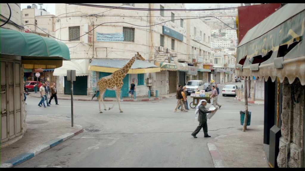 FILMTECHNIK Für den Film GIRAFFADA steht neben den Schauspielern auch eine Giraffe vor der Kamera.