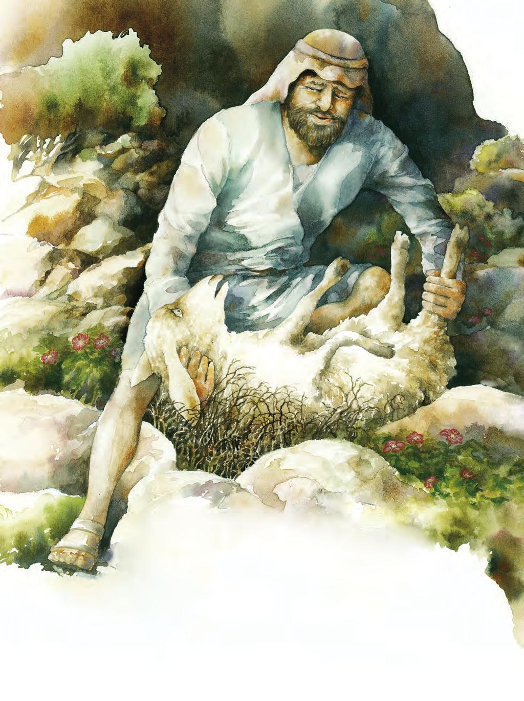 Er erquickt meine Seele;... Manchmal stolpert ein Schaf, wenn es zwischen Felsbrocken nach Gras sucht.