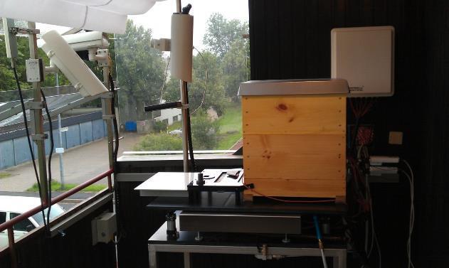Verschiedene Kameras: Live-Beobachtungen im Bienenstock