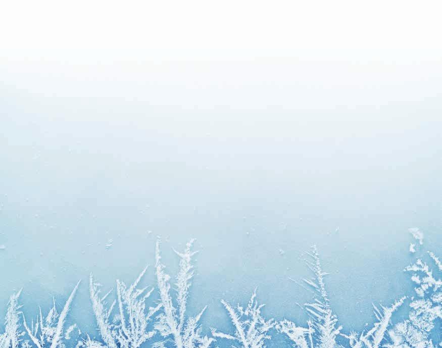 Fit für den Winter: So geht s leichter bei Schnee und Eis NÜTZLICHE WINTERTIPPS FÜR DIE BIOTONNE SERVICE 11 Frostige Minustemperaturen machen die Müllabfuhr manchmal zur Herausforderung.