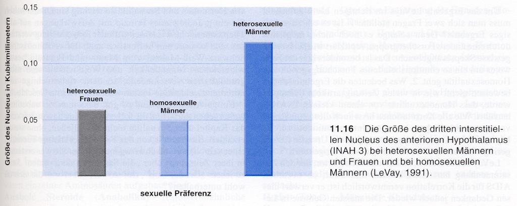 Der anteriore Hypothalamus bei homo- und heterosexuellen Männern??? LeVay, S. & Hammer, D.H.(1994).