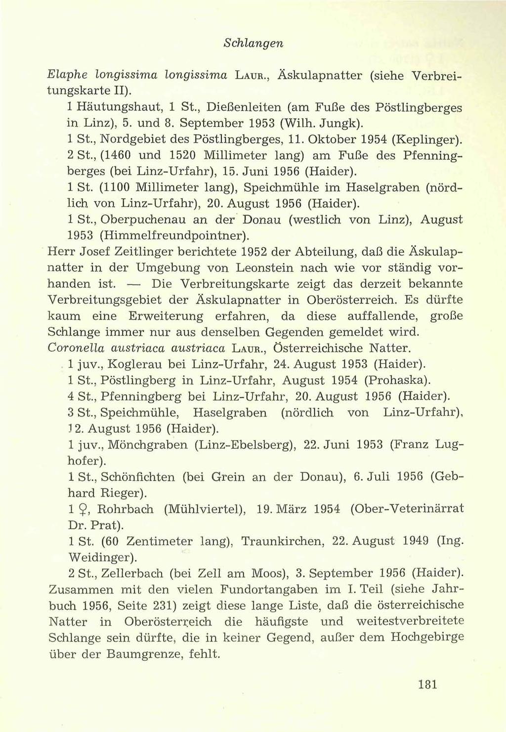 Schlangen Elaphe longissima longissima LAUR., Äskulapnatter (siehe Verbreitungskarte II). 1 Häutungshaut, 1 St., Dießenleiten (am Fuße des Pöstlingberges in Linz), 5. und 8. September 1953 (Wilh.