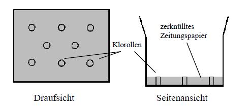 2. Schritt: Klorollen befestigen und füllen Gleich hohe Klorollen werden als Abstandshalter auf den Boden der großen Kiste verteilt und festgeklebt.