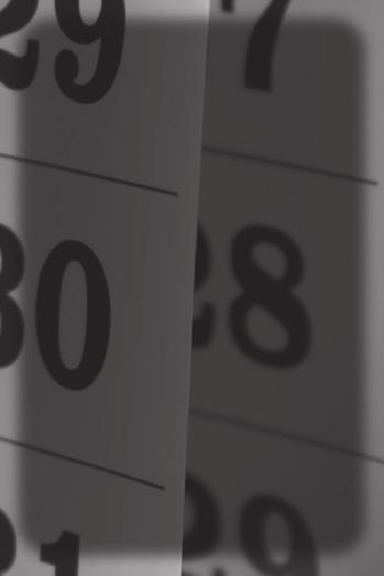 200 Stück je 2,55 Streifenkalender Kalendarium 160 x 650 mm, 2/0-farbig rot/schwarz, Werbefläche: