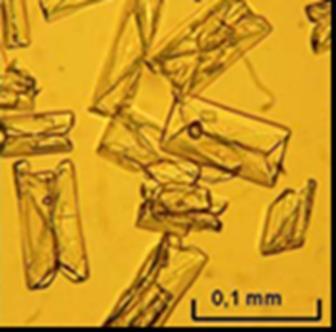 2. Grundlagen der MAP Fällung Magnesiumammoniumphosphat Mg 2+ + NH 4 + + HPO 4 2- + OH - + 5 H 2 O MgNH 4 PO 4 6 H 2 O schwer wasserlöslich kristallin Kristallsystem: