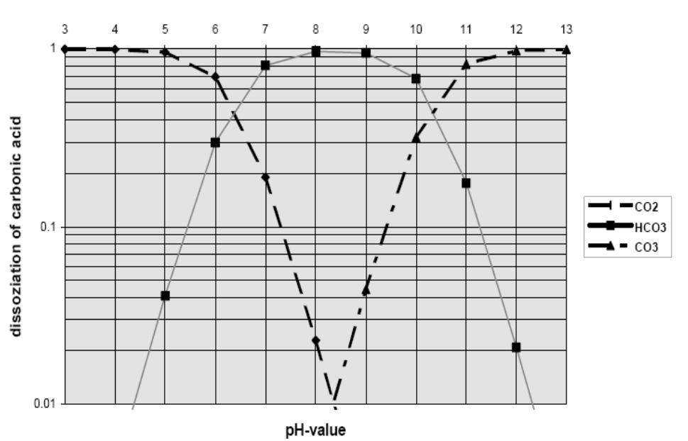 Stabilitätsdiagramm der einzelnen Komponenten der Kohlensäure in Mol/L Erhöhung des ph-wertes Löslichkeit von Kohlenstoffdioxid ist druckabhängig (Zunahme mit steigendem Druck) ca.