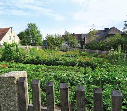 Wunsiedel Gartenimpressionen rund um Spielberg Dieses Jahr präsentieren sich im Landkreis Wunsiedel zwölf Gärten im Wirkungsbereich des Obst- und Gartenbauvereins Spielberg und Umgebung.