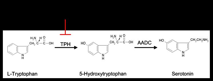 Bei Telotristatethyl handelt es sich um einen Inhibitor der TPH.