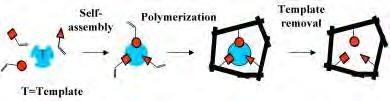 Molecular Imprinting (MI) -Molekulares