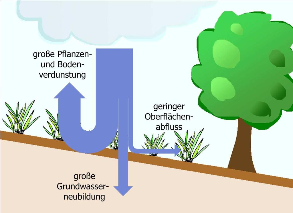 Leitbild Integrales Regenwassermanagement Benchmark unbebauter
