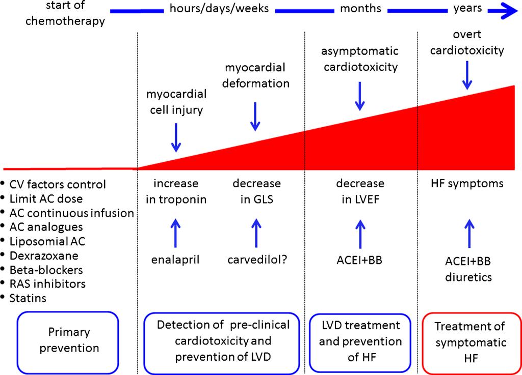 Mögliche Interventionsstrategien zur Reduktions des HF Risiko s und Therapie
