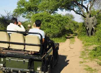 Bestaunen Sie im Krüger-Nationalpark mit ein bisschen Glück die Großen Fünf und lassen Sie sich entlang der Traumstraße am Indischen Ozean ins Paradies entführen.