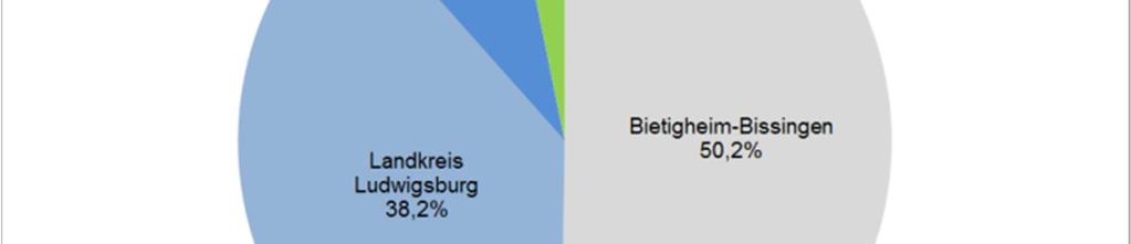 205 Grundsätzlich steht in Bietigheim-Bissingen aktuell aus rein quantitativer Sicht einschließlich dem neuen Haus am Enzpark ein mehr als ausreichendes Angebot in der stationären Pflege für die