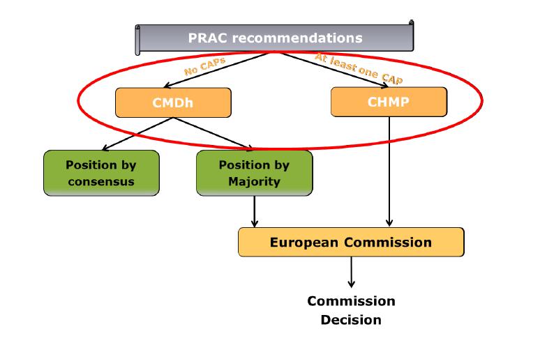 Koordinierte Umsetzung des PRAC Outputs New EU pharmacovigilance legislation Key concepts, EMA/186974/2012 CHMP: Committee