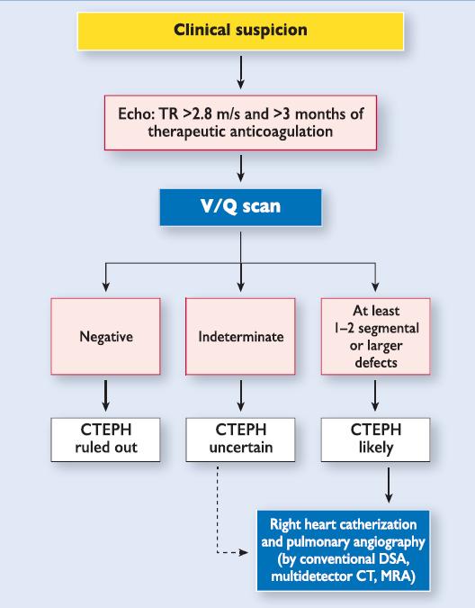 DD: akute LE oder dekompensierte CTEPH?? Management einer akuten LE im CT wenn Verdacht auf prä-existierende CTEPH: (1) Allgemeine Maßnahmen zur Behandlung der RV-Insuffizienz!