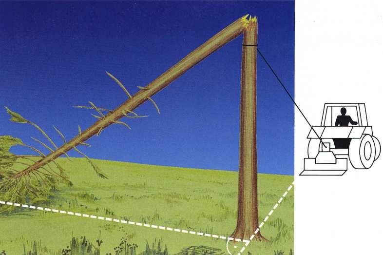 Windwurf Fallbeispiel 3 Bei zu starker Bruchstelle Windenseil hoch