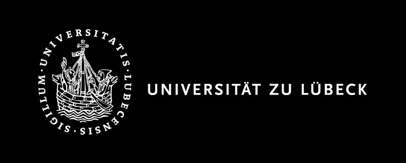 Leitfaden für die Universität zu Lübeck