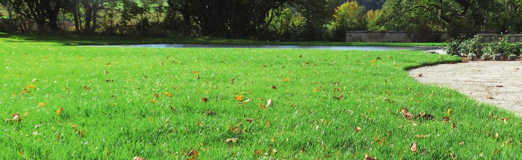 Rasenpflege Rasendüngung im Herbst Extreme Witterungsverhältnisse schwächen den Rasen. Um ihn gegen Wettereinflüsse zu stärken, ist eine bedarfsgerechte Versorgung mit Kalium nötig.