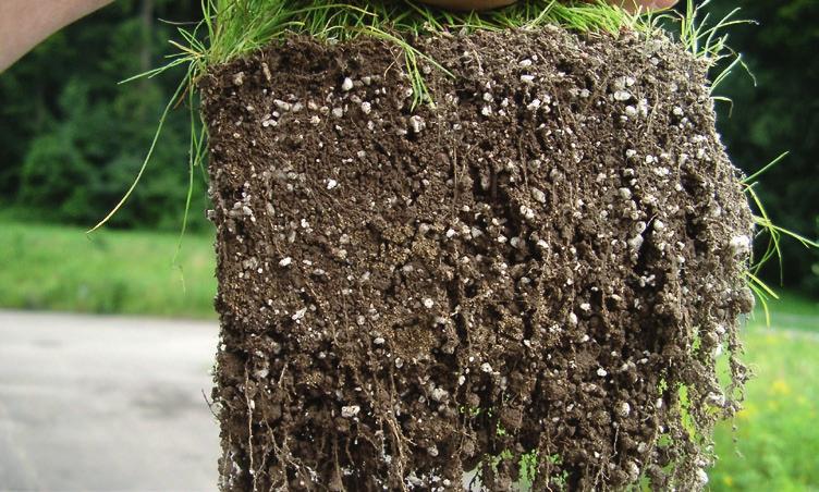 Die Saatbettvorbereitung und die Planiergenauigkeit kann mit dem Einarbeiten von Perlit deutlich verbessert werden. Zudem profitiert Ihr Kunde von einer langfristigen Bodenverbesserung.