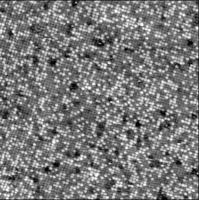 Abb. 4.5, Pt Rh 50 50 -Oberfläche [71] An der nächsten Abbildung sieht man, daß an den Stufenkanten fast ausschließlich Pt -Atome sitzen.